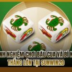 Kinh nghiệm chơi Bầu Cua